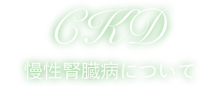 平川内科｜人工透析　大橋｜福岡市南区向野